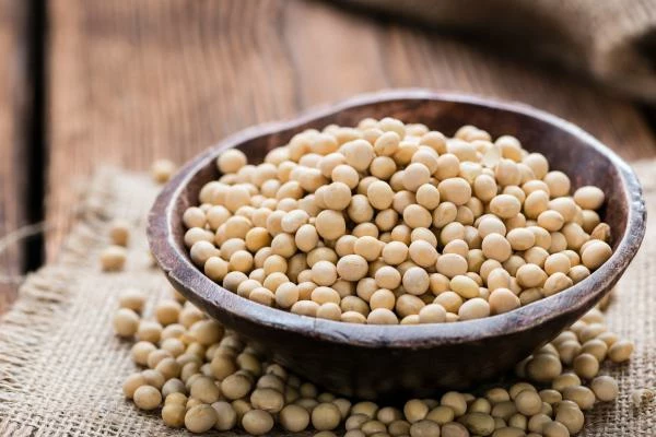Soybean